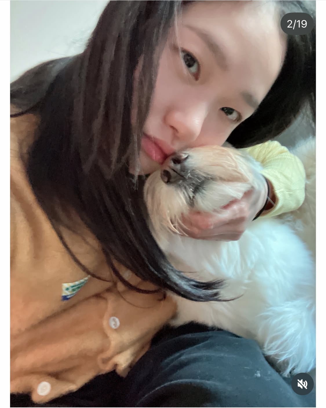 무지개다리 건넌 김고은 강아지 월이 | 인스티즈