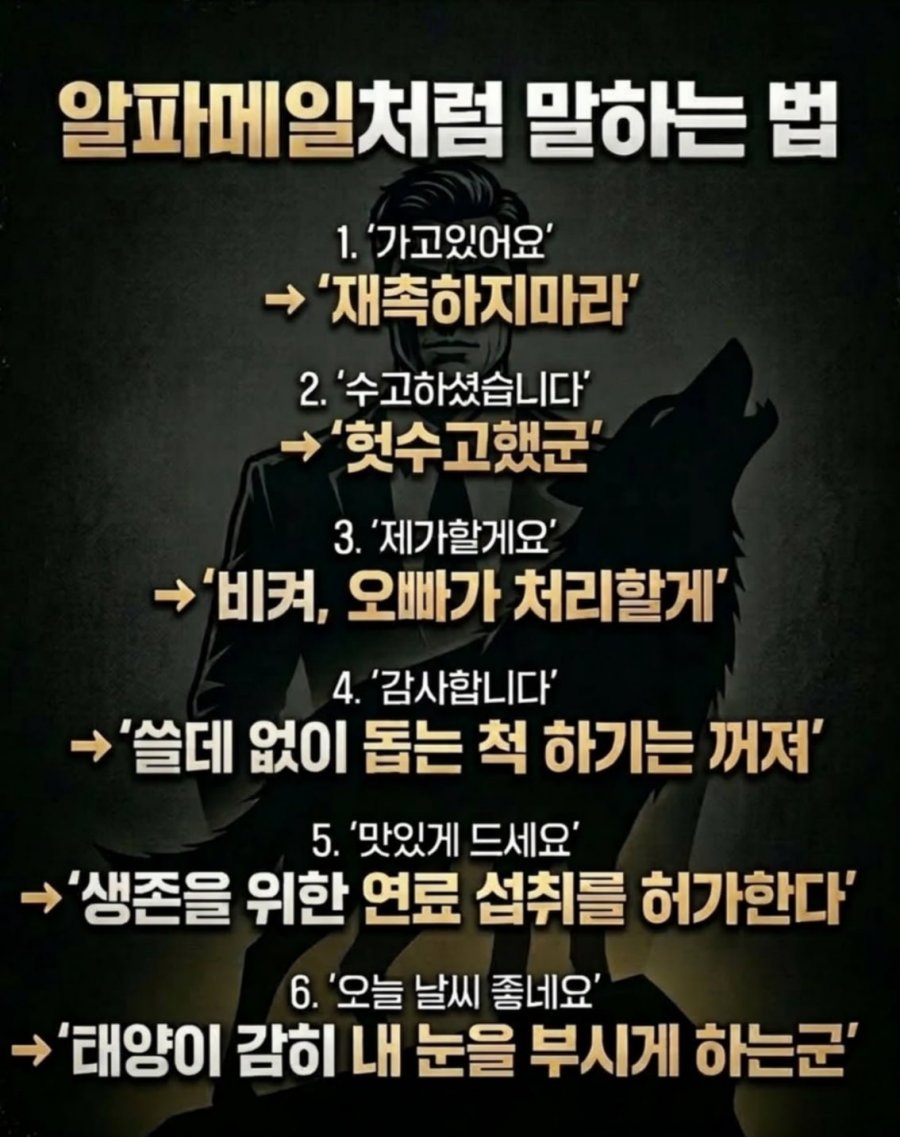 알파메일처럼 말하는 법 | 인스티즈