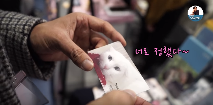 고양이 키우는 수의사들은 궁디팡팡에 가면 무엇을 구매할까? | 인스티즈