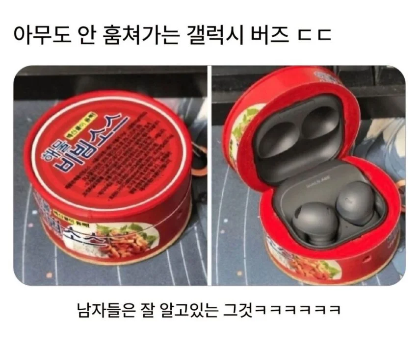 아무도 안 훔쳐가는 갤럭시 버즈 케이스 | 인스티즈