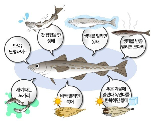 K-이브이 | 인스티즈