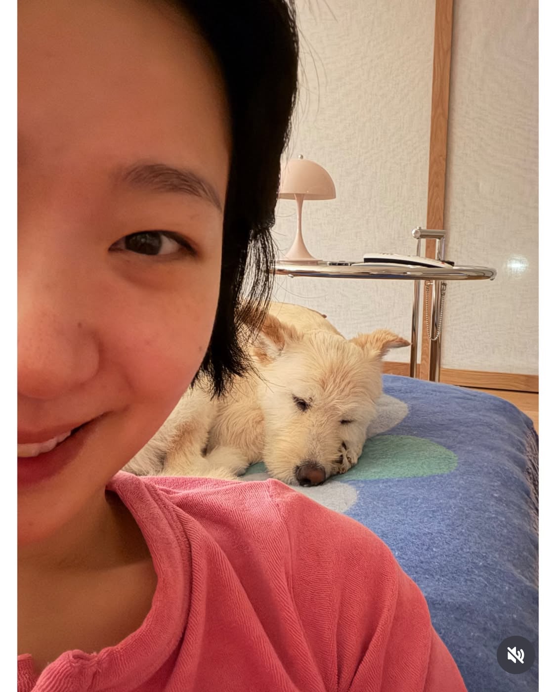 무지개다리 건넌 김고은 강아지 월이 | 인스티즈
