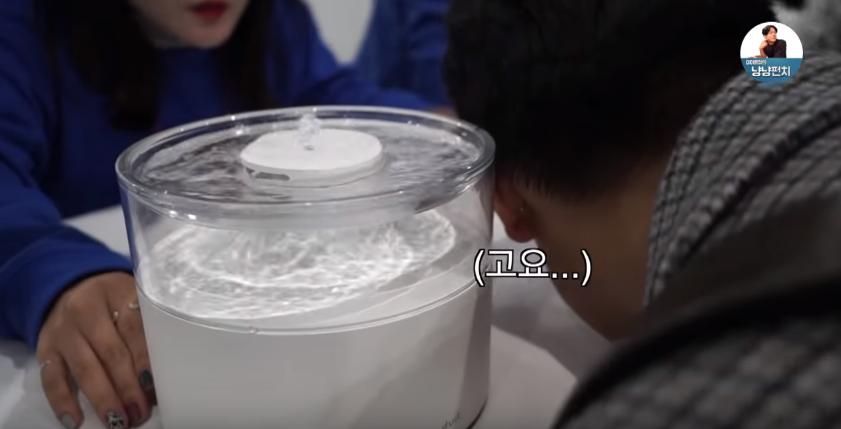 고양이 키우는 수의사들은 궁디팡팡에 가면 무엇을 구매할까? | 인스티즈