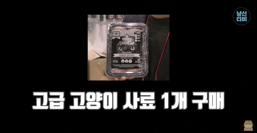 고양이 키우는 수의사들은 궁디팡팡에 가면 무엇을 구매할까? | 인스티즈