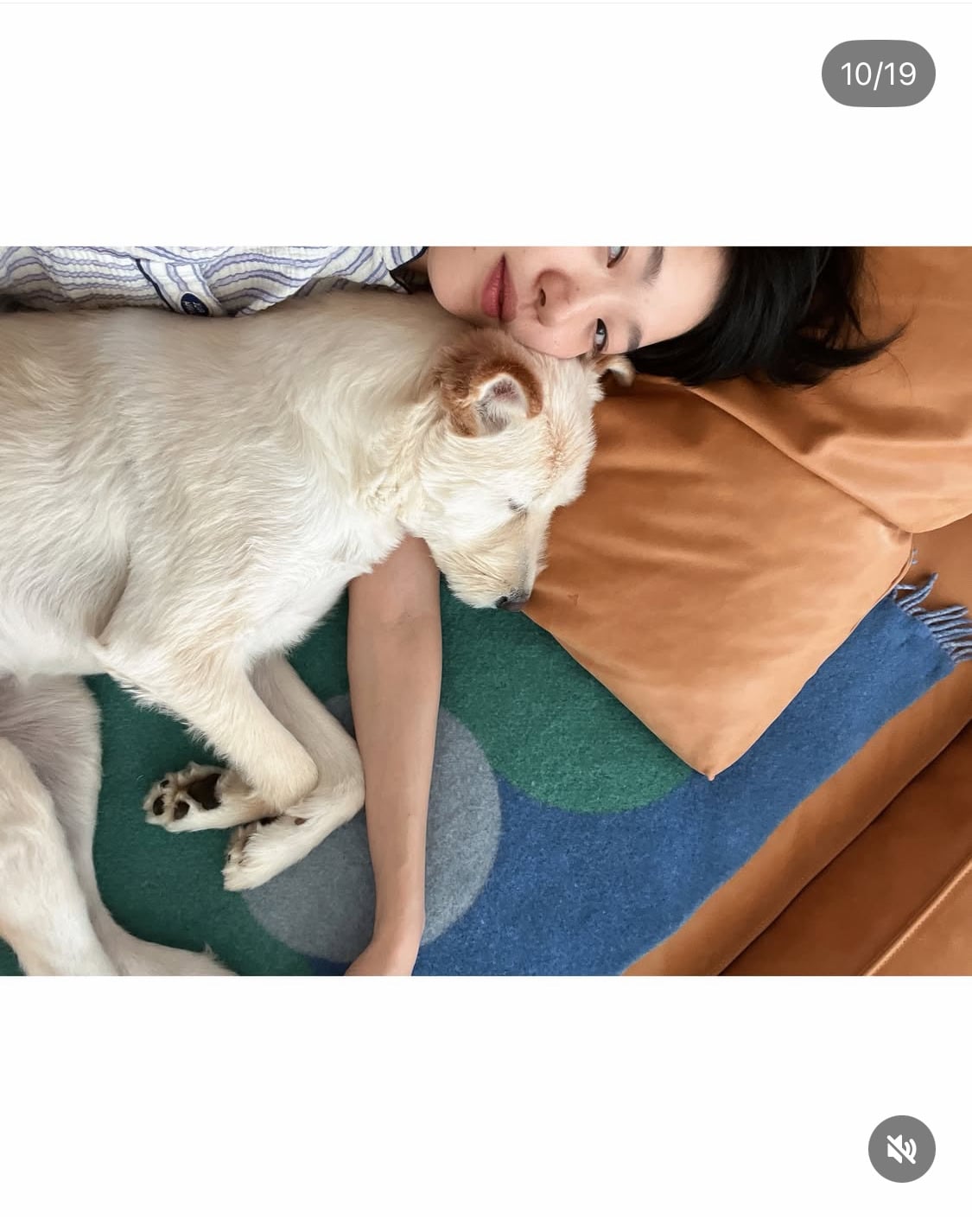 무지개다리 건넌 김고은 강아지 월이 | 인스티즈