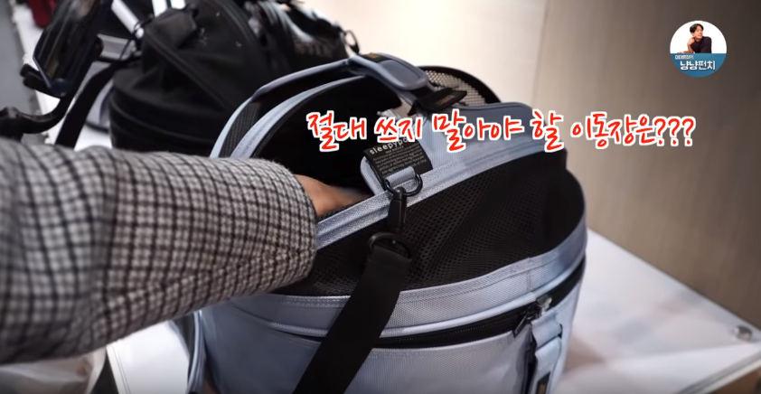 고양이 키우는 수의사들은 궁디팡팡에 가면 무엇을 구매할까? | 인스티즈