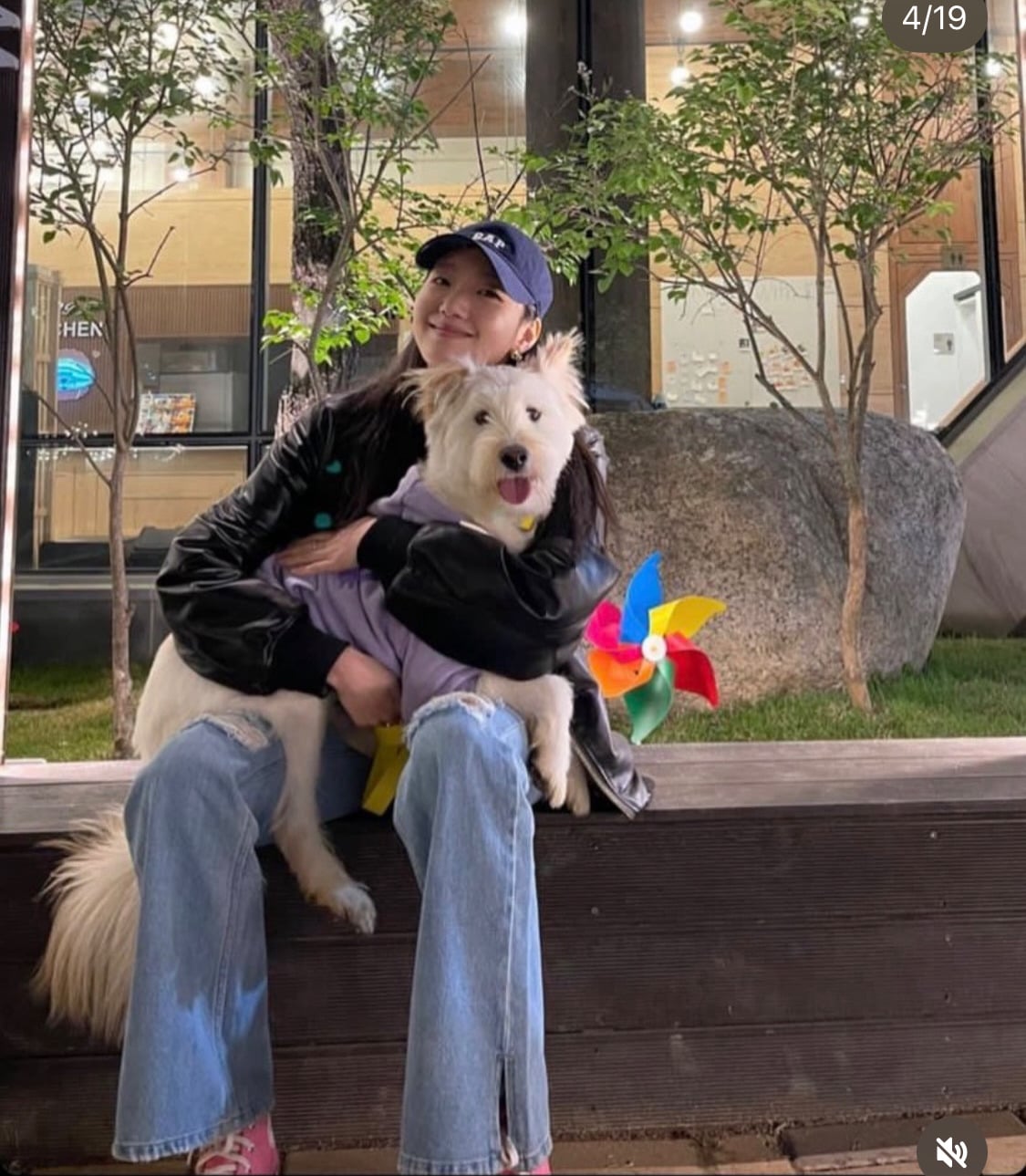 무지개다리 건넌 김고은 강아지 월이 | 인스티즈