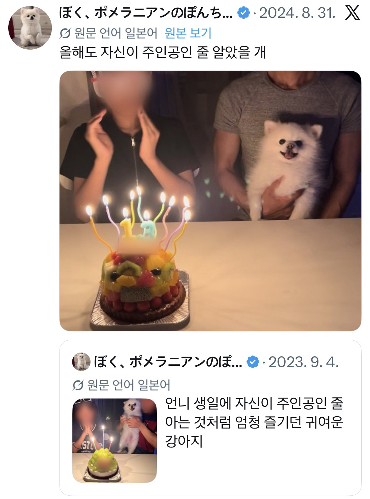 언니 생일에 자신이 주인공인 줄 아는 것처럼 엄청 즐기던 귀여운 강아지.twt | 인스티즈