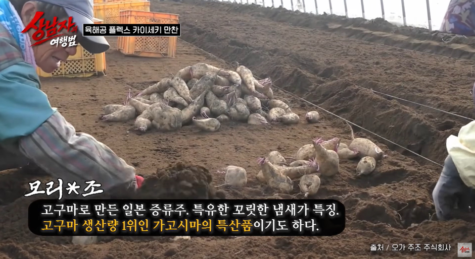 호텔 사장님이 직접 선물로 준 OOO소주…jpg | 인스티즈
