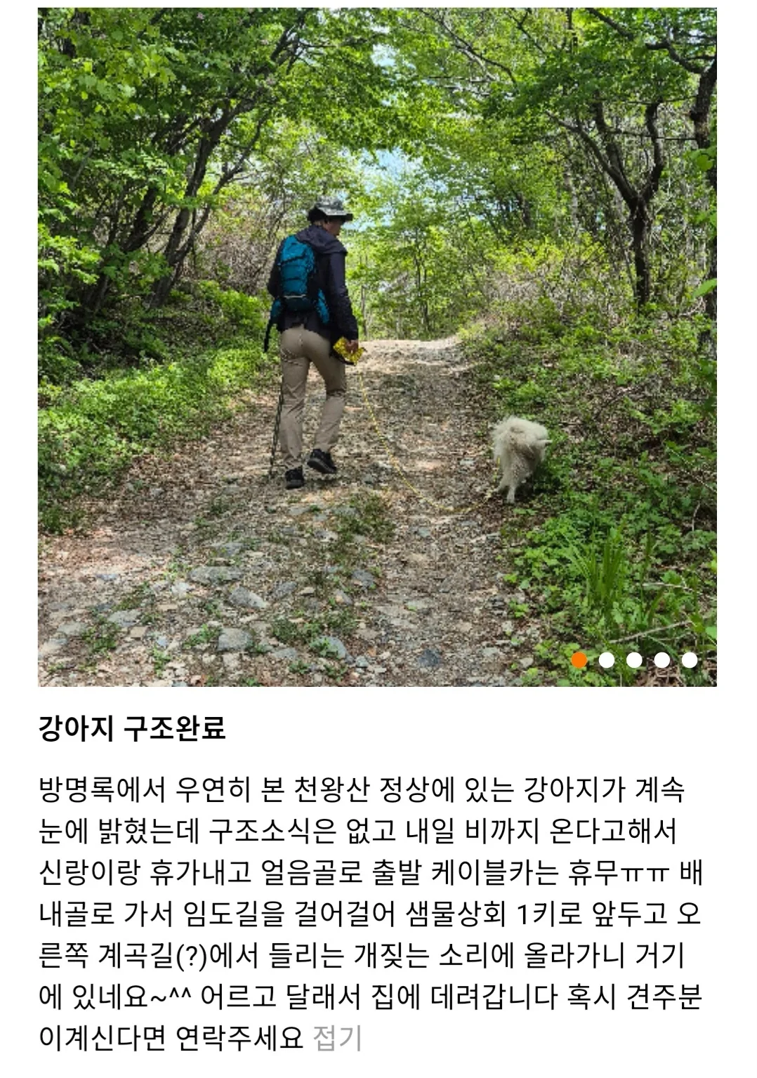 천황산 꼭대기에 유기된 강아지 | 인스티즈