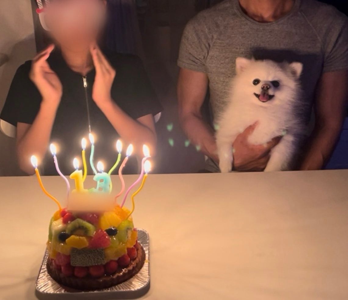 언니 생일에 자신이 주인공인 줄 아는 것처럼 엄청 즐기던 귀여운 강아지.twt | 인스티즈