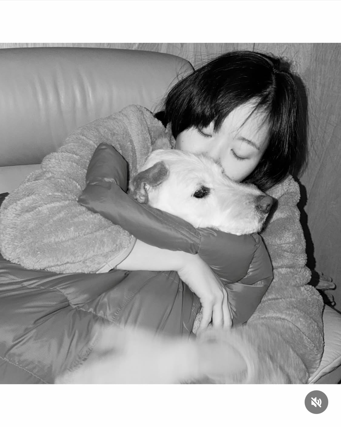 무지개다리 건넌 김고은 강아지 월이 | 인스티즈