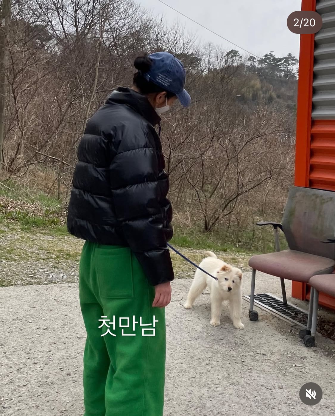 무지개다리 건넌 김고은 강아지 월이 | 인스티즈