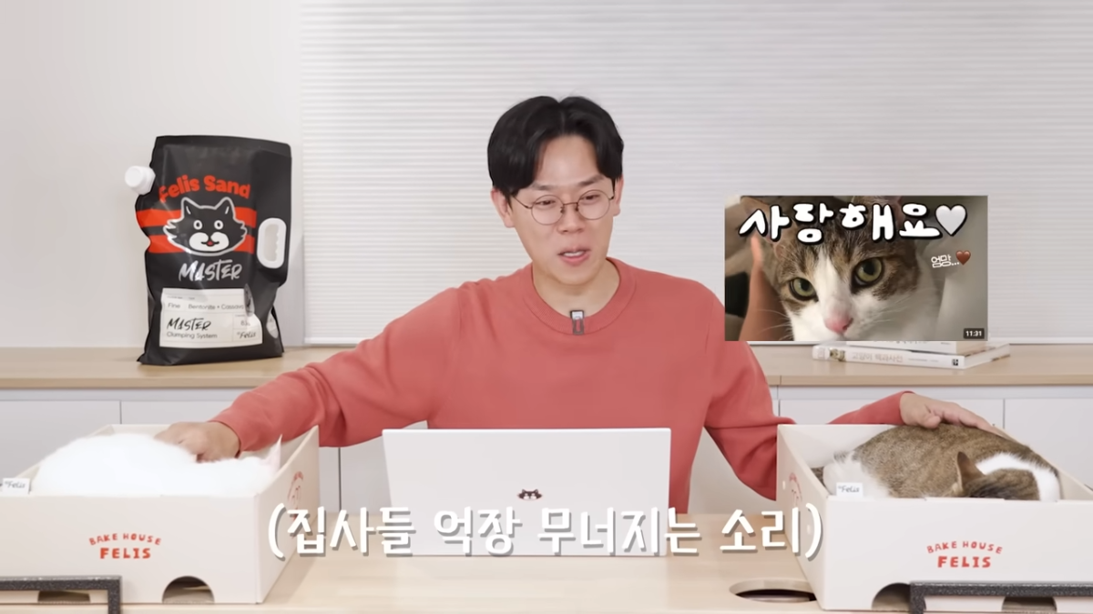 미야옹철-고양이는 집사를 사랑하지 않는다 | 인스티즈
