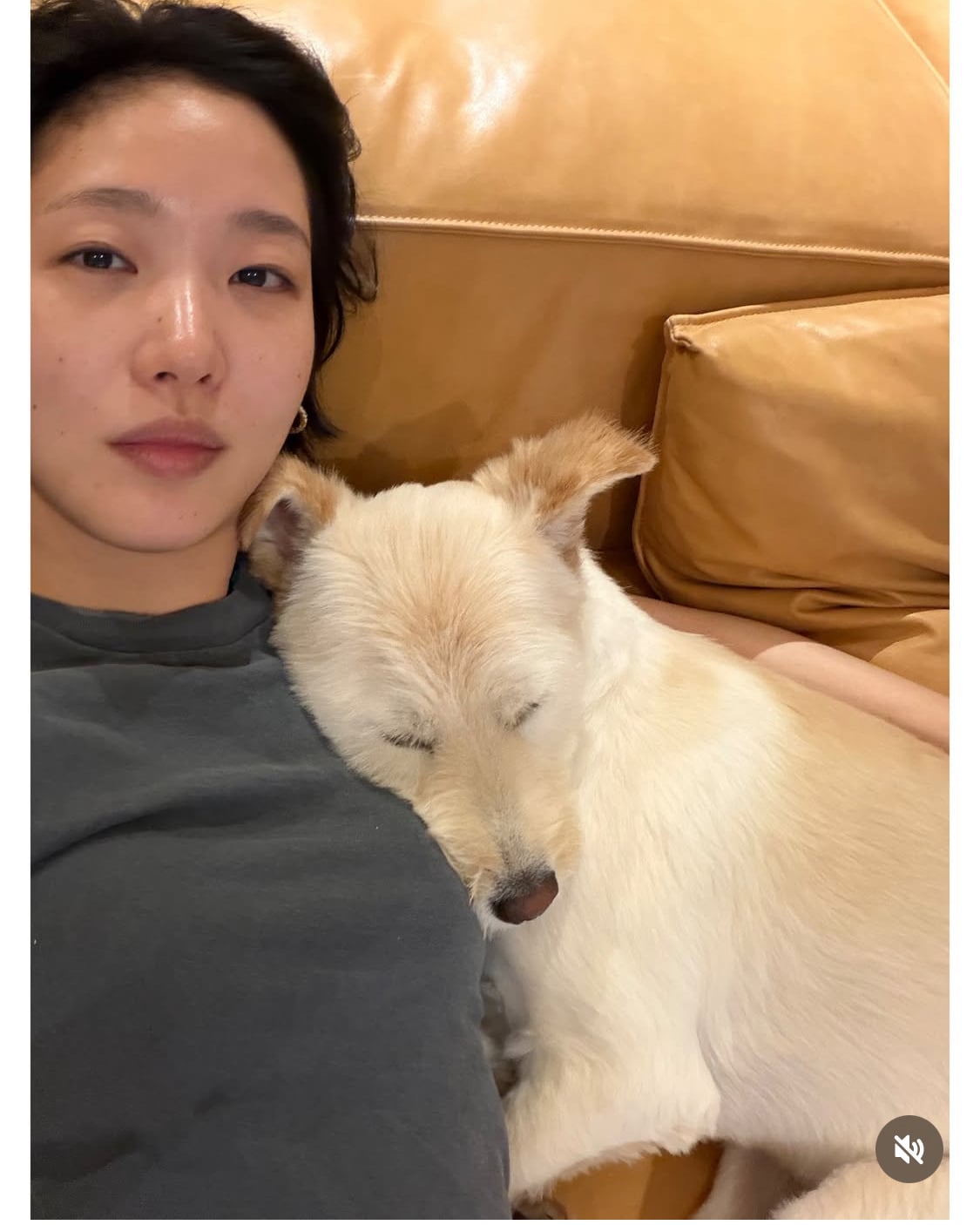 무지개다리 건넌 김고은 강아지 월이 | 인스티즈