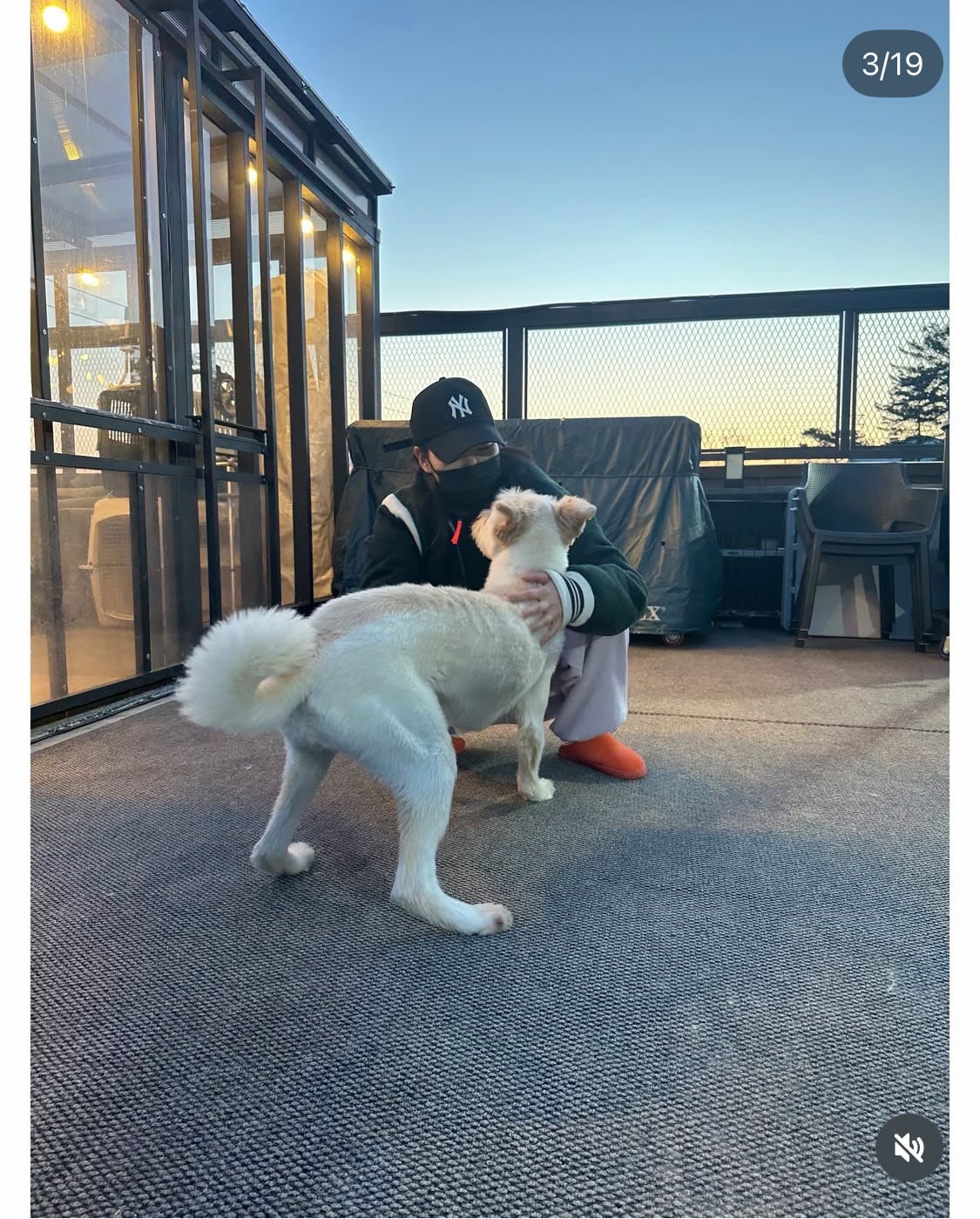 무지개다리 건넌 김고은 강아지 월이 | 인스티즈