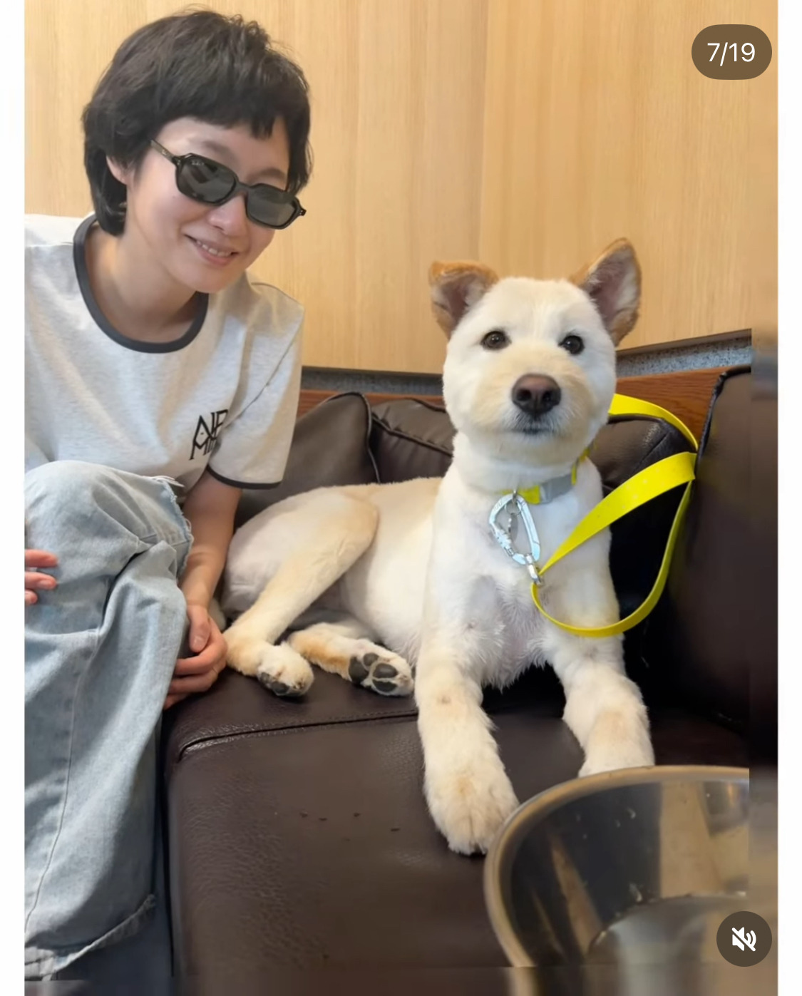 무지개다리 건넌 김고은 강아지 월이 | 인스티즈