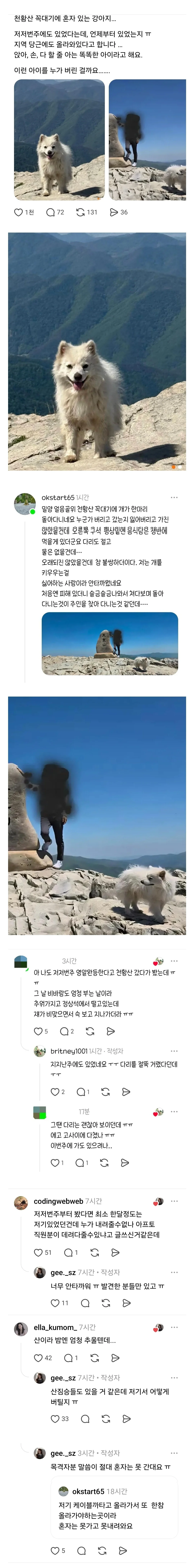 천황산 꼭대기에 유기된 강아지 | 인스티즈