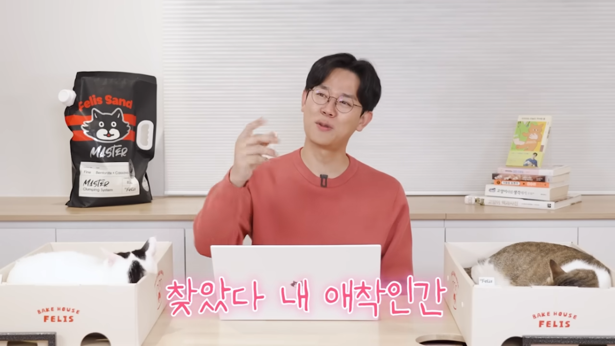 미야옹철-고양이는 집사를 사랑하지 않는다 | 인스티즈