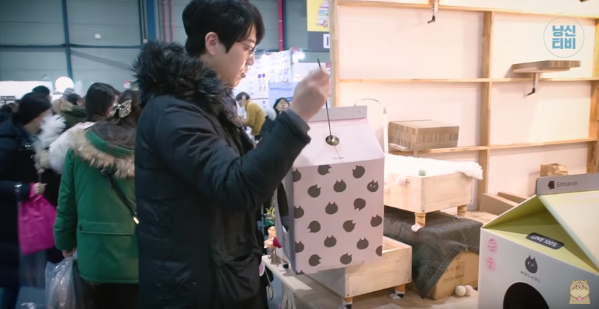 고양이 키우는 수의사들은 궁디팡팡에 가면 무엇을 구매할까? | 인스티즈