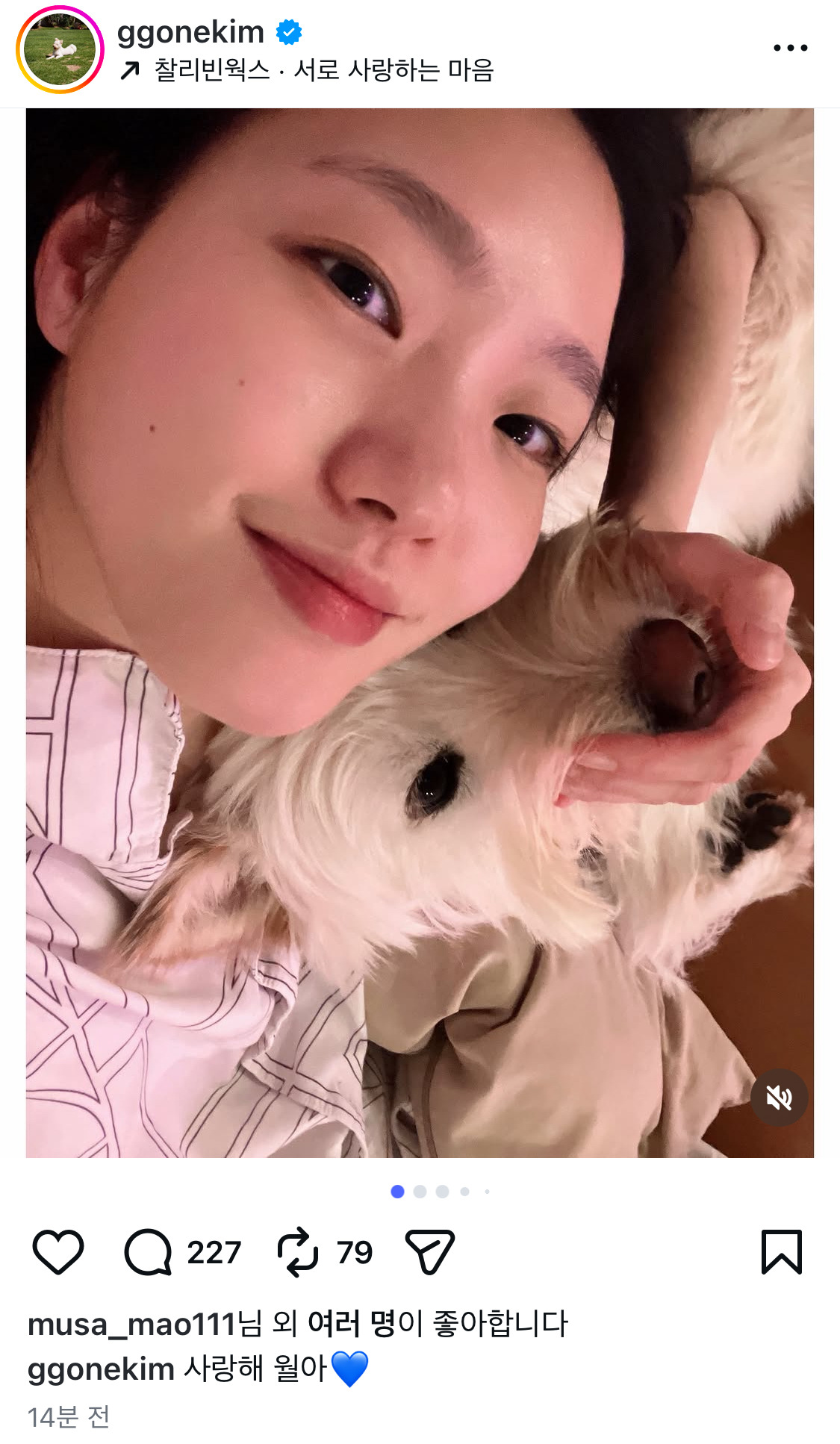 무지개다리 건넌 김고은 강아지 월이 | 인스티즈