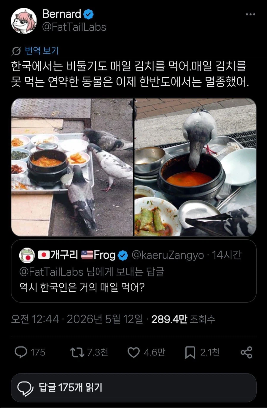 역시... 한국인은 김치를 거의 매일 먹는거지? | 인스티즈
