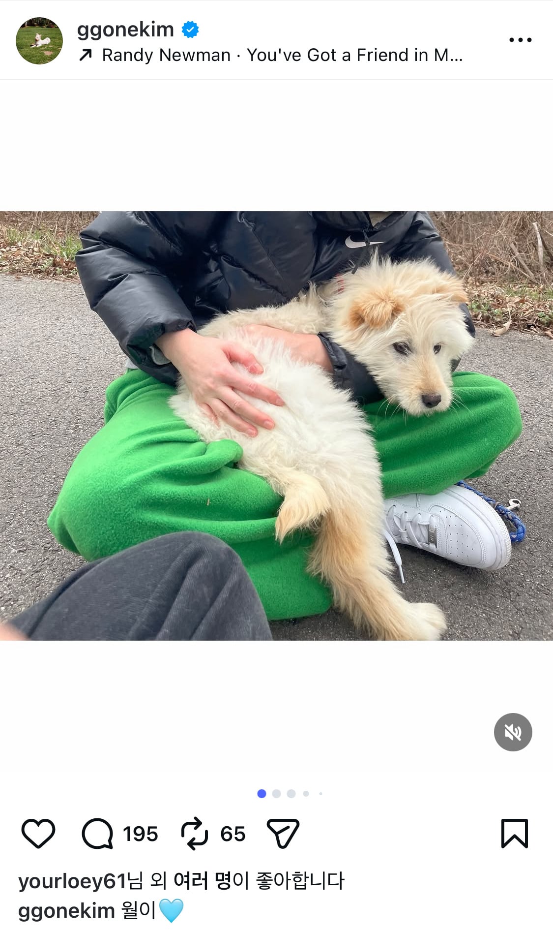 무지개다리 건넌 김고은 강아지 월이 | 인스티즈