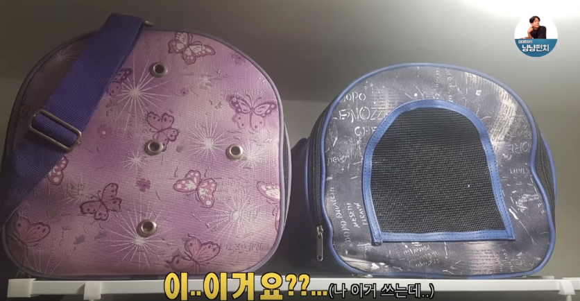 고양이 키우는 수의사들은 궁디팡팡에 가면 무엇을 구매할까? | 인스티즈