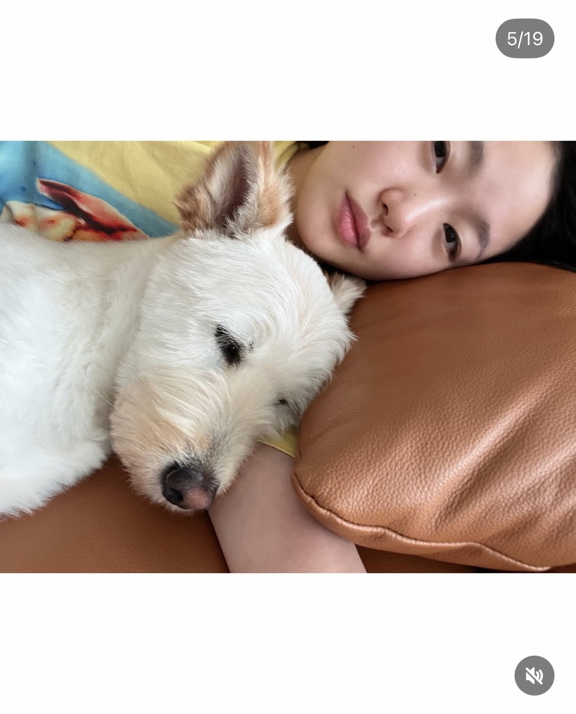 무지개다리 건넌 김고은 강아지 월이 | 인스티즈