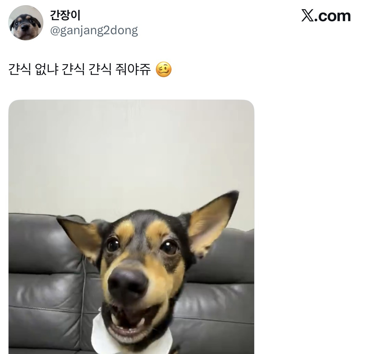 트위터에 빠르게 퍼져나가는 남쟈 없나 남쟈 응용버전.twt | 인스티즈