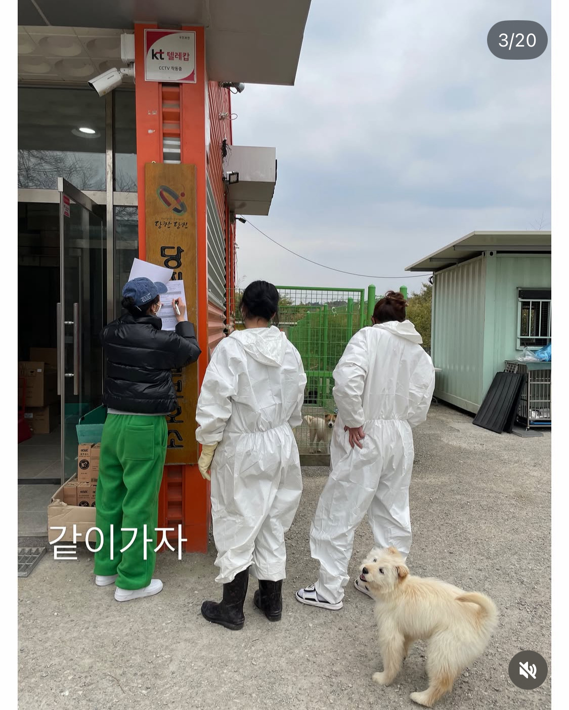 무지개다리 건넌 김고은 강아지 월이 | 인스티즈