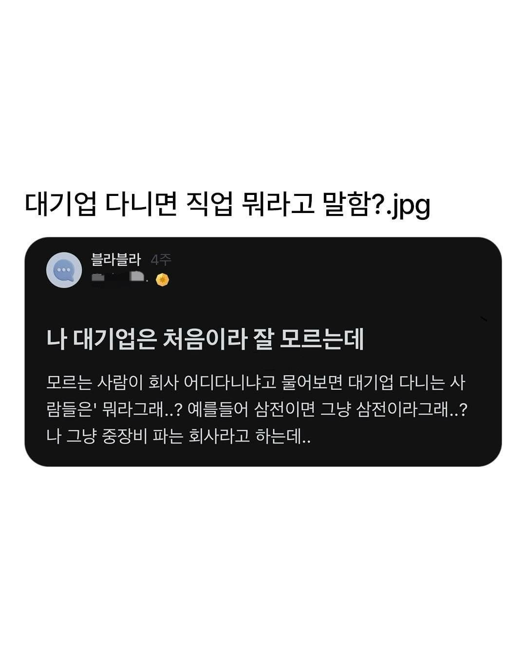 대기업 다니면 직업 뭐라고 말함? | 인스티즈