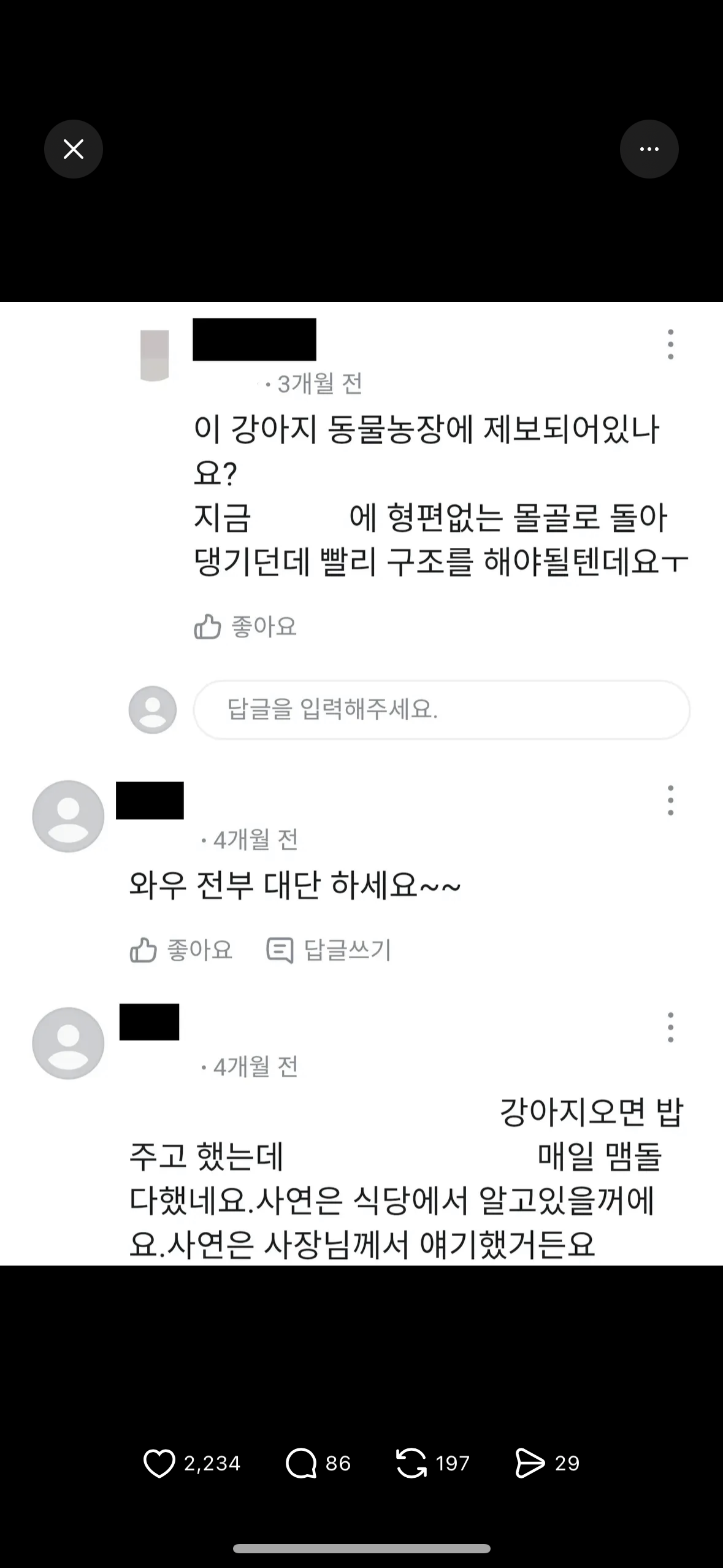 돌아가신 할아버지를 계속 기다리는 백구 강아지 | 인스티즈