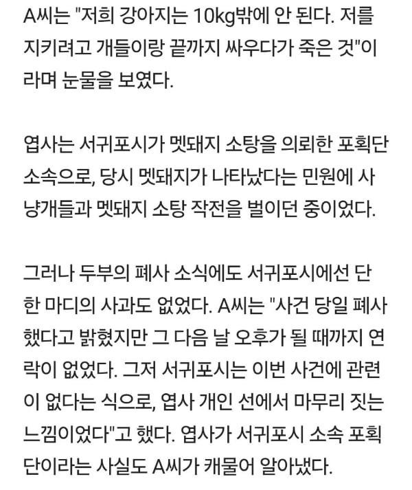 주인 덮친 사냥개에 맞서다 폐까지 뜯긴 반려견…서귀포시 대응 '분통' | 인스티즈