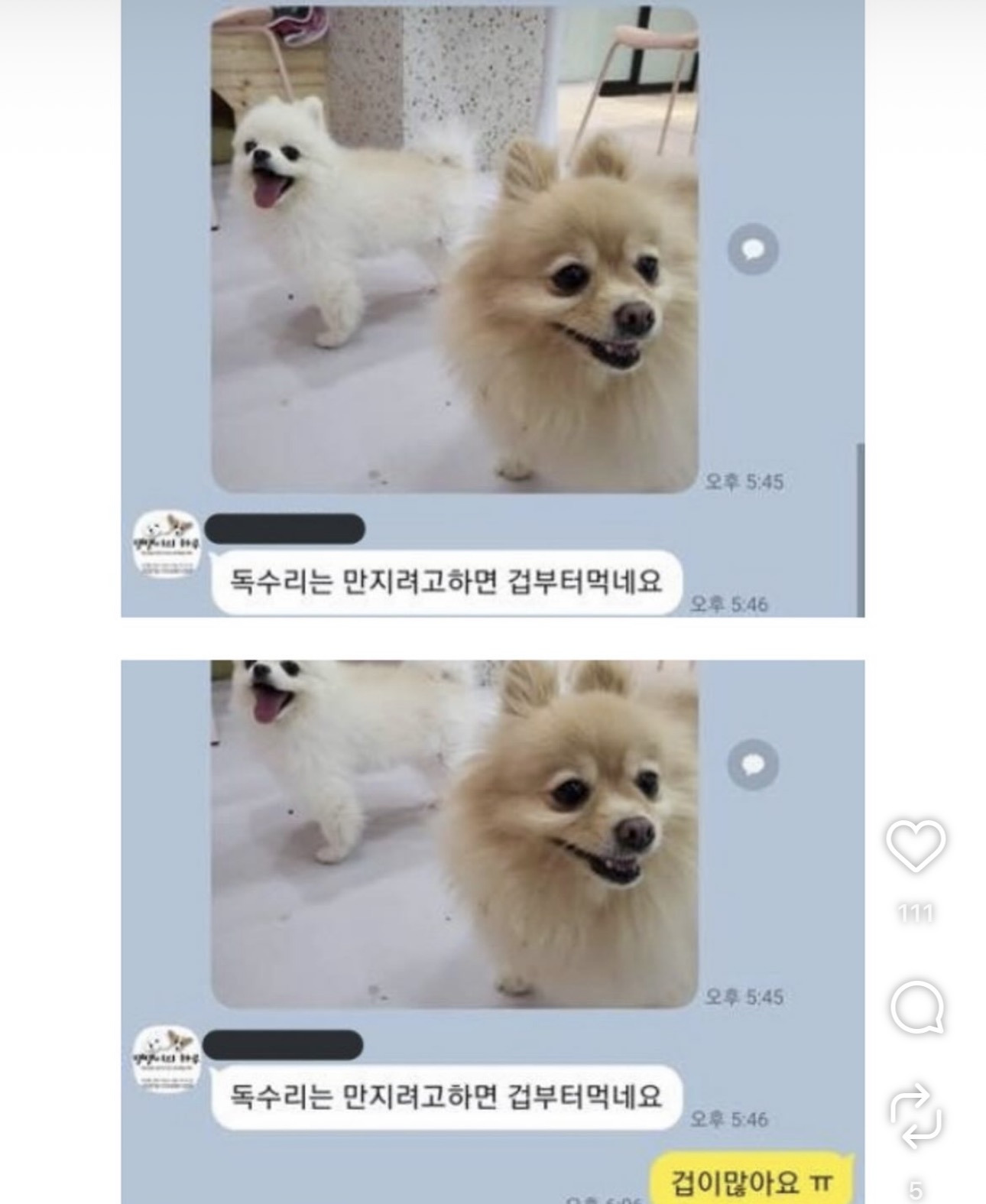 독수리 | 인스티즈