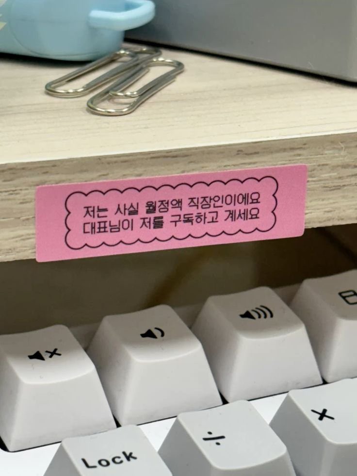 저는 사실 월정액 직장인이에요 | 인스티즈