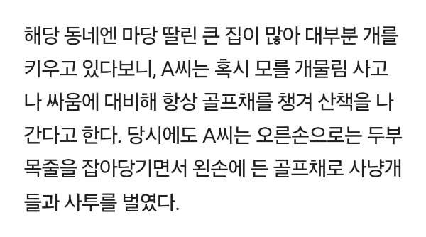 주인 덮친 사냥개에 맞서다 폐까지 뜯긴 반려견…서귀포시 대응 '분통' | 인스티즈