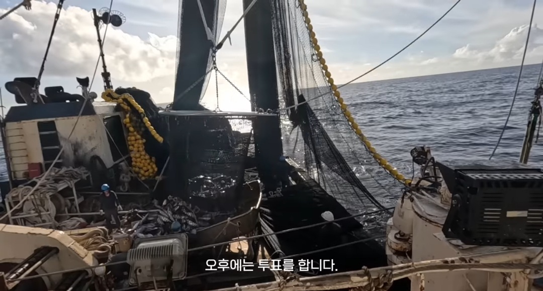 원양어선 타는 사람들은 배에서 대통령 투표를 어떻게 할까? | 인스티즈