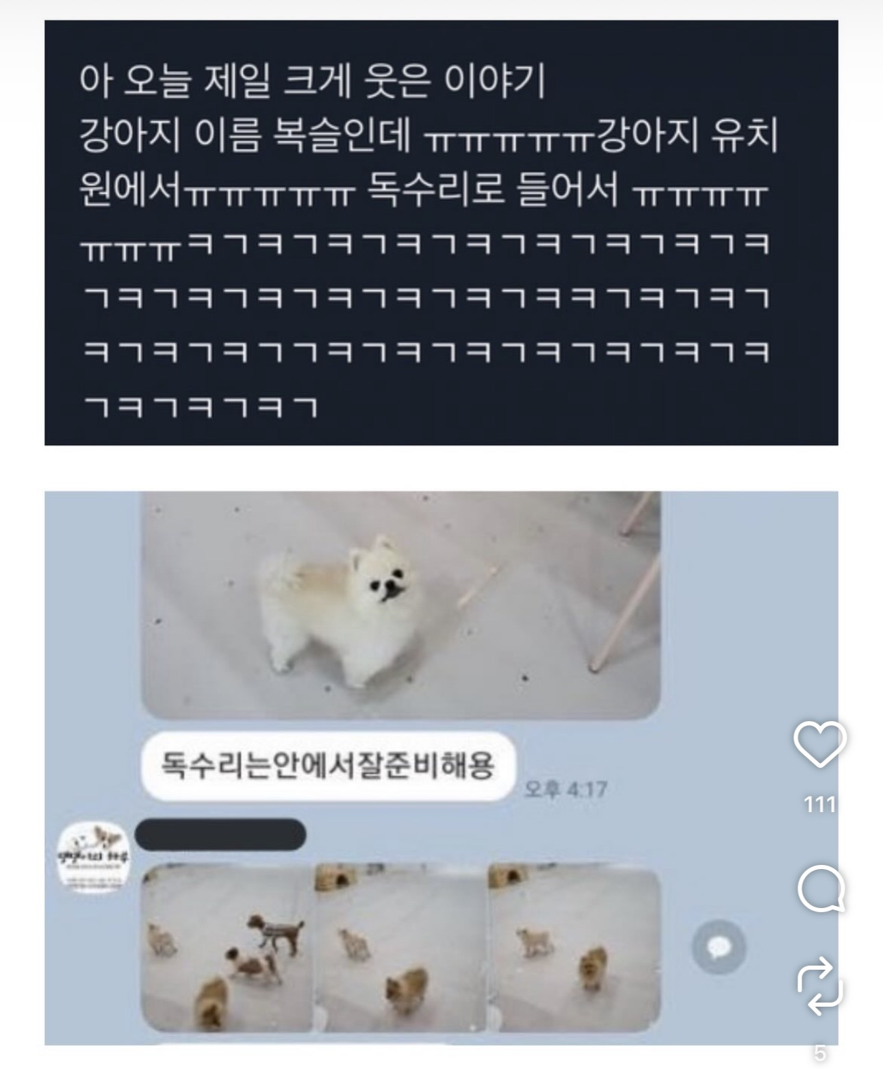 독수리 | 인스티즈