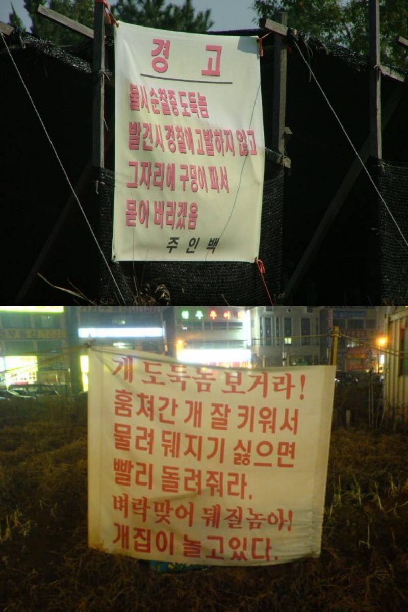 무서운 동네 현수막 | 인스티즈