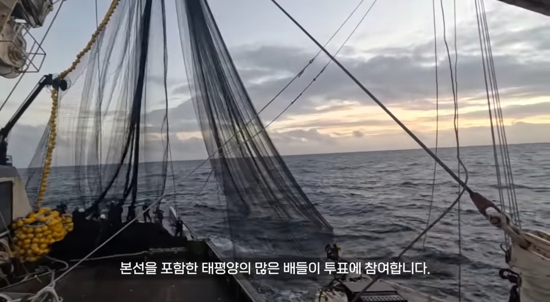 원양어선 타는 사람들은 배에서 대통령 투표를 어떻게 할까? | 인스티즈