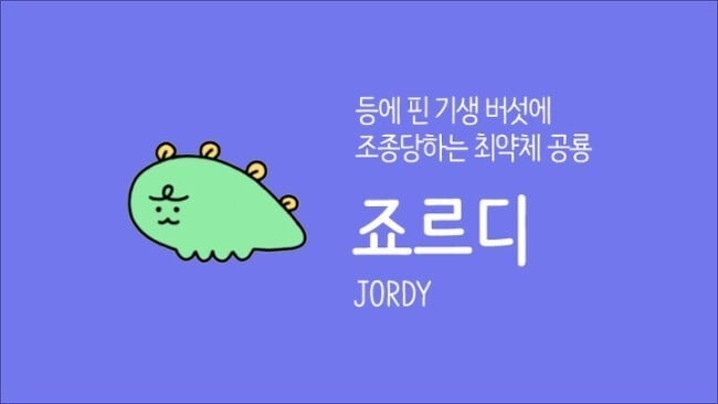 죠르디와 버섯의 관계(등에 노란거 그거) | 인스티즈