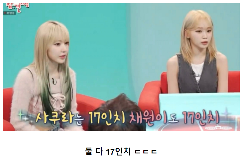 르세라핌 김채원, 사쿠라 허리 근황.JPG | 인스티즈