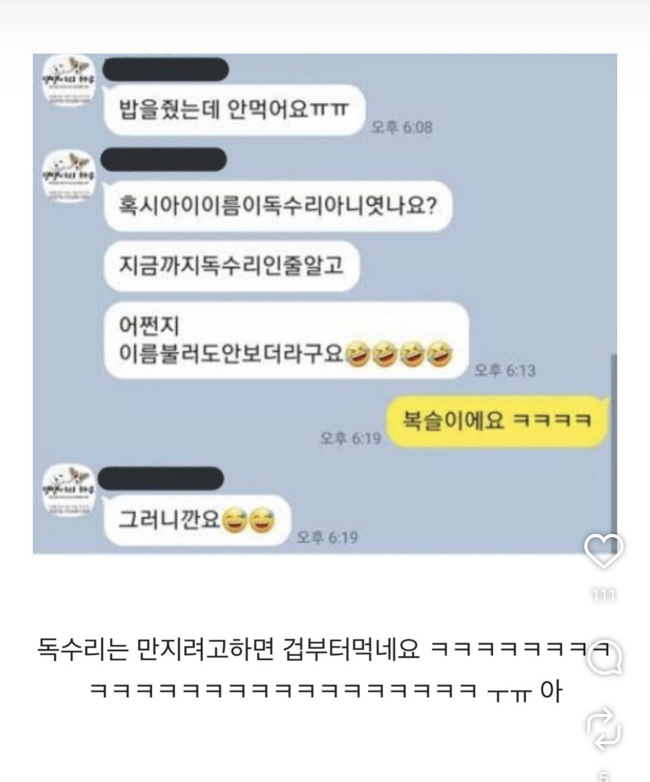 독수리 | 인스티즈