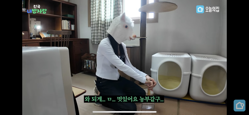 지방에서 월세 37만원에 구할 수 있는 집 수준 | 인스티즈