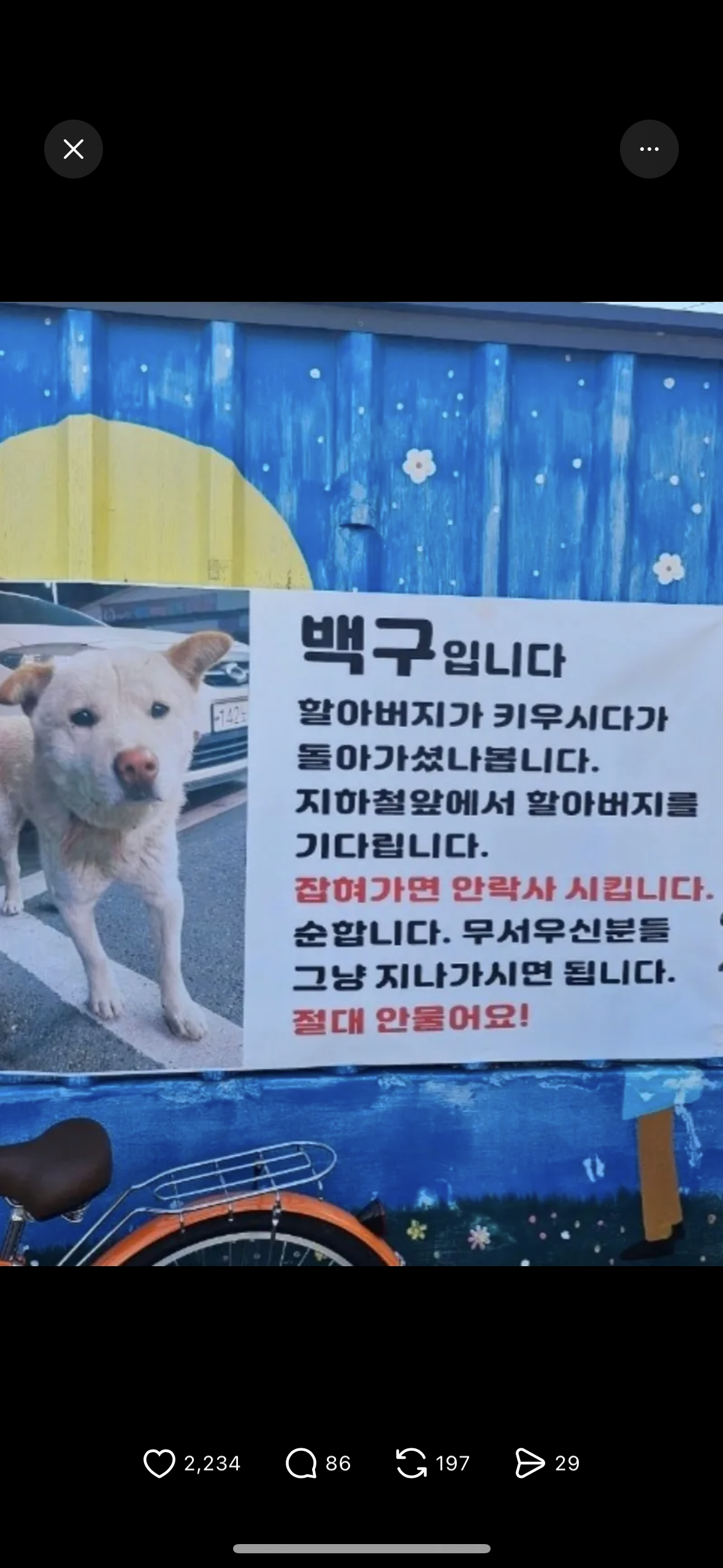 돌아가신 할아버지를 계속 기다리는 백구 강아지 | 인스티즈