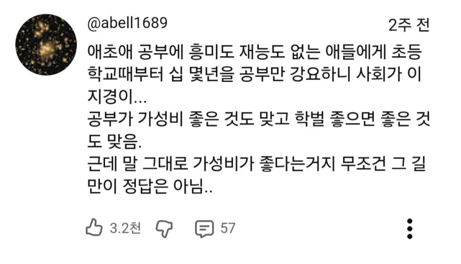 공부가 가성비 좋으니 밀어붙이라는 사람들에게 | 인스티즈