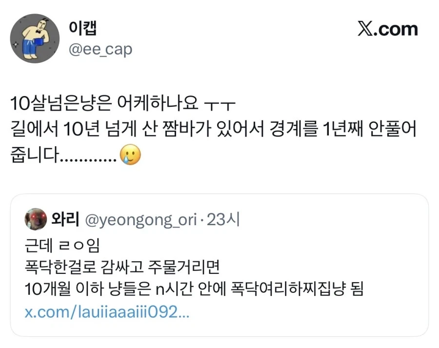 길냥이 입양했는데 경계를 안품 | 인스티즈