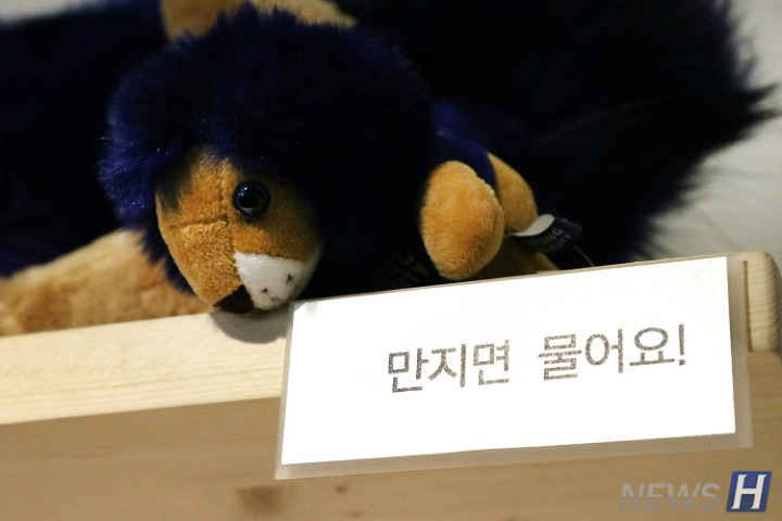 심심해서 찾아본 대학별 캐릭터들 | 인스티즈