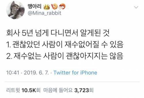 직장생활 5년이면 알게되는거 | 인스티즈